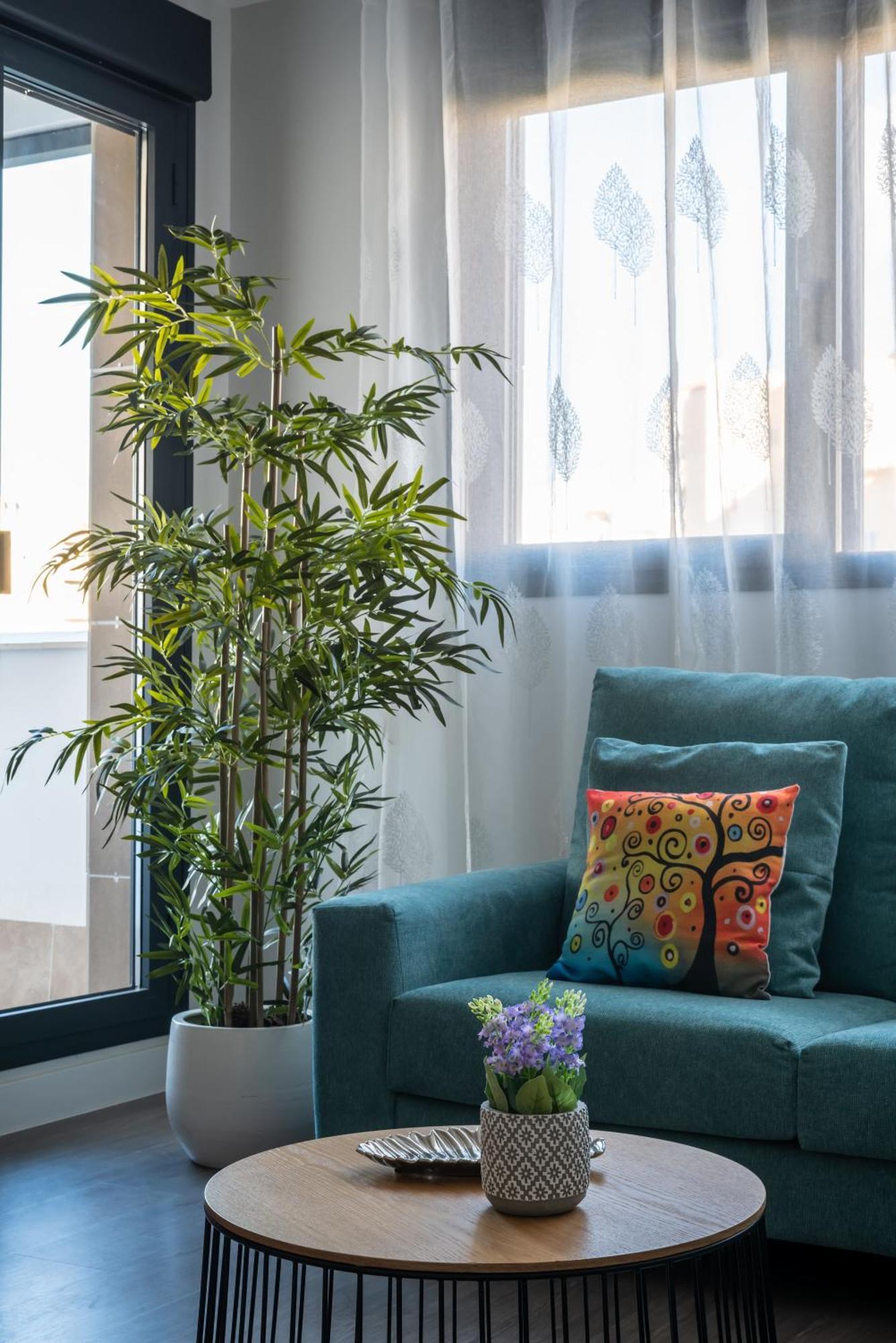 Apartment Ii